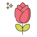 rosa icon