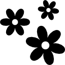 3 fleurs 