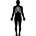 silhouette du corps humain en mettant l'accent sur le système respiratoire Icône
