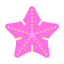 estrella de mar