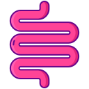 intestino icon