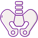 pelvis icon