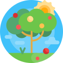 Árbol de frutas icon