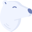 oso polar 