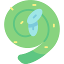 helecho fiddlehead icon