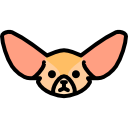 fennec icon