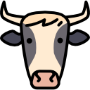 vaca icon