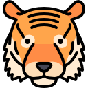 tigre icon