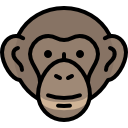 chimpancé icon