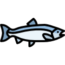 salmón icon