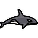 orca icon