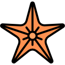 estrella de mar 