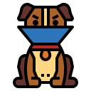 collar isabelino icon