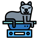 gato icon