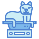 gato icon