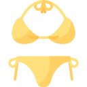 bikini icon