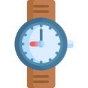 reloj de pulsera icon