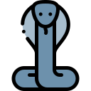 cobra 