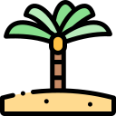 palmera 