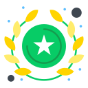 estrella icon