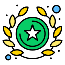 estrella icon