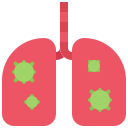 pulmones icon