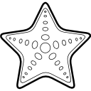 estrella de mar icon