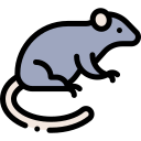 ratón