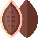 grano de cacao 