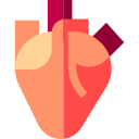 corazón icon