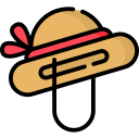 sombrero de pamela 