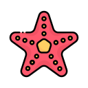 estrella de mar icon