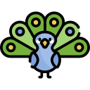 pavo real icon