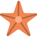 estrella de mar 