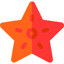 estrella de mar