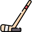Hockey stick 