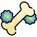 Bone cancer 