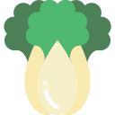 bok choy 