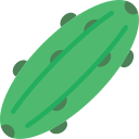 pepino