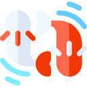 koi icon