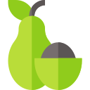 aguacate icon