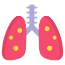 pulmones humanos icon