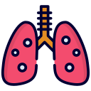 pulmones humanos icon