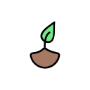 herbal 