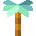 palmera icon