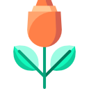 rosa icon