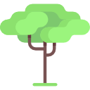 Árbol icon