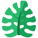 hoja de monstera icon