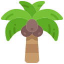 Árbol de coco icon