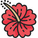 hibisco icon